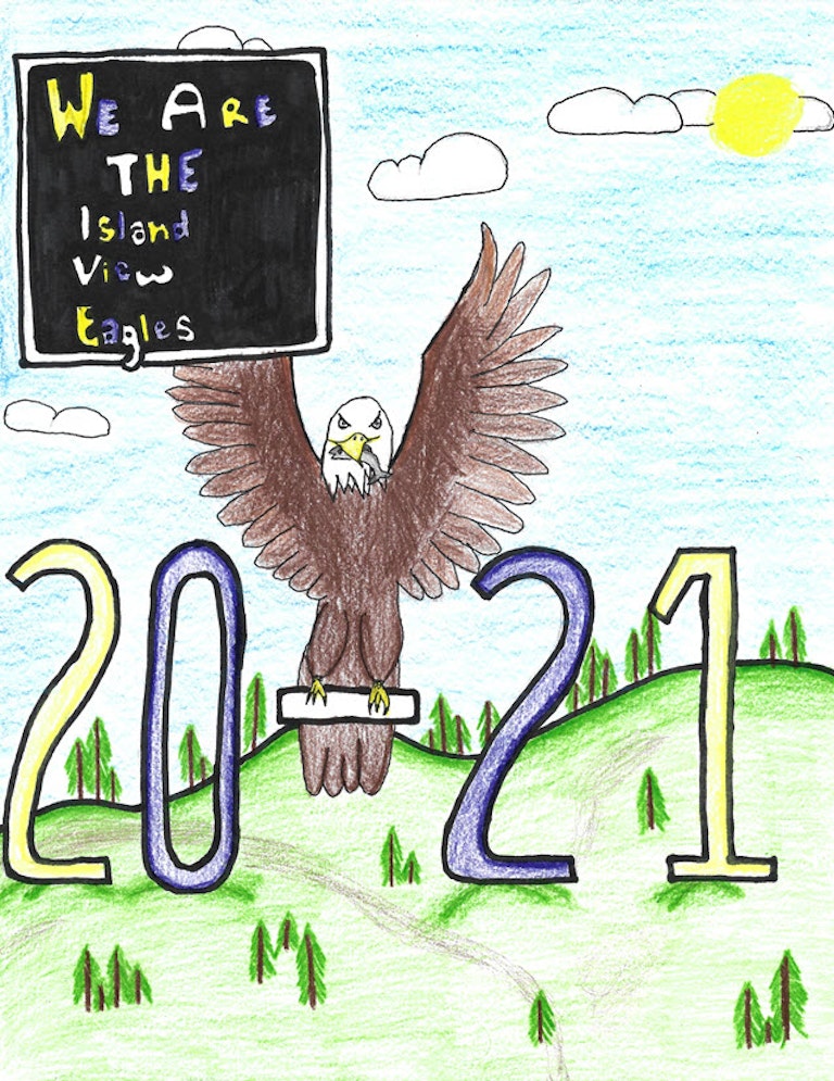 Previous Yearbook Cover Submission