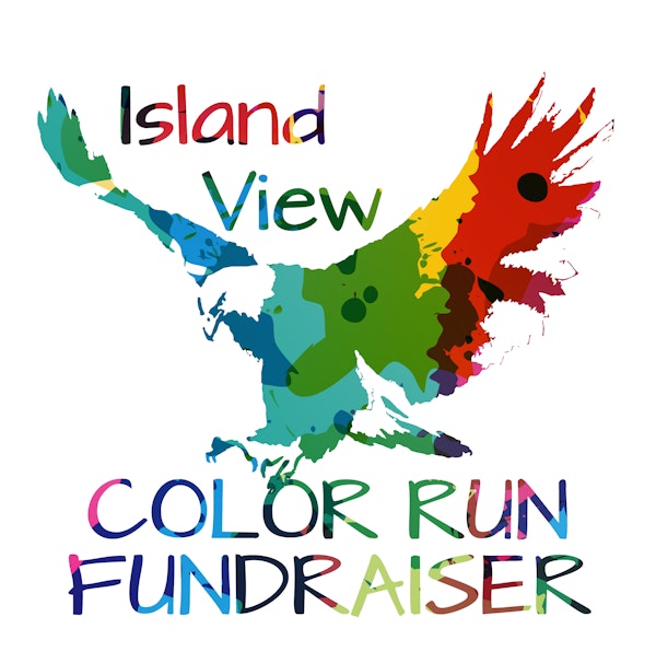 Image for 2019 Color Run Fundraiser